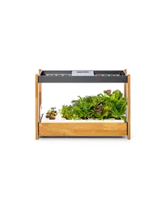 Смарт саксия Click and Grow Smart Garden 25, Черна