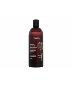 Ziaja Sunflower Shampoo