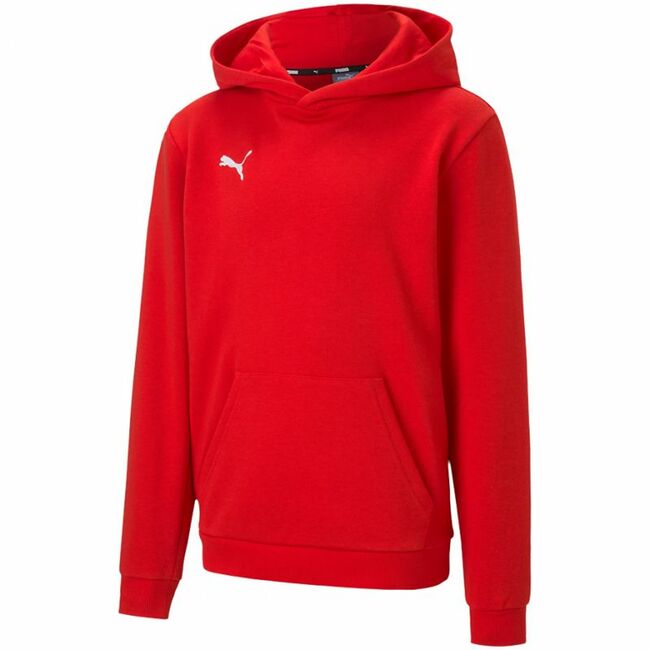 Puma teamGOAL 23 Casuals Hoody Jr 656711 01